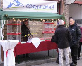 IMG_0065.JPG